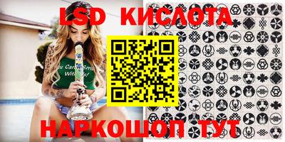 дживик Моздок