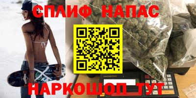 дживик Моздок