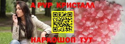 дживик Моздок