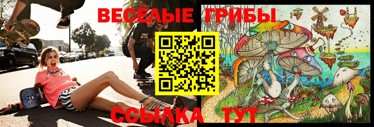 Тихорецк  сколько стоит  Вход с VPN  Галлюциногенные грибы ЛСД 